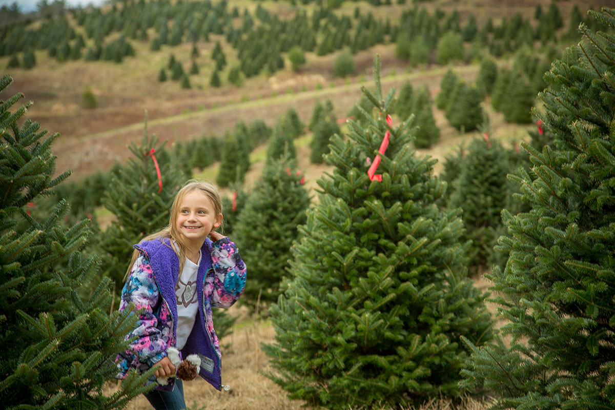 Girl picking out her tree